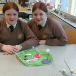 A plant cell made by Kelsey Redmond (1 Vivaldi) and Shannon Redmond (1 Beethoven)