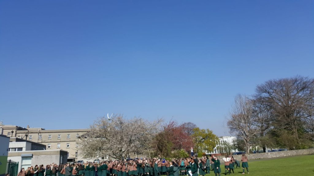 A dove flies over out school during Wellbeing week